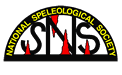 NSS